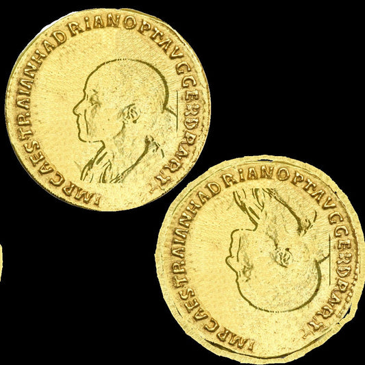 Rohkaffee Rekordpreise und die Ursachen der Preisexplosion – Wird Kaffee zum Luxusprodukt?"